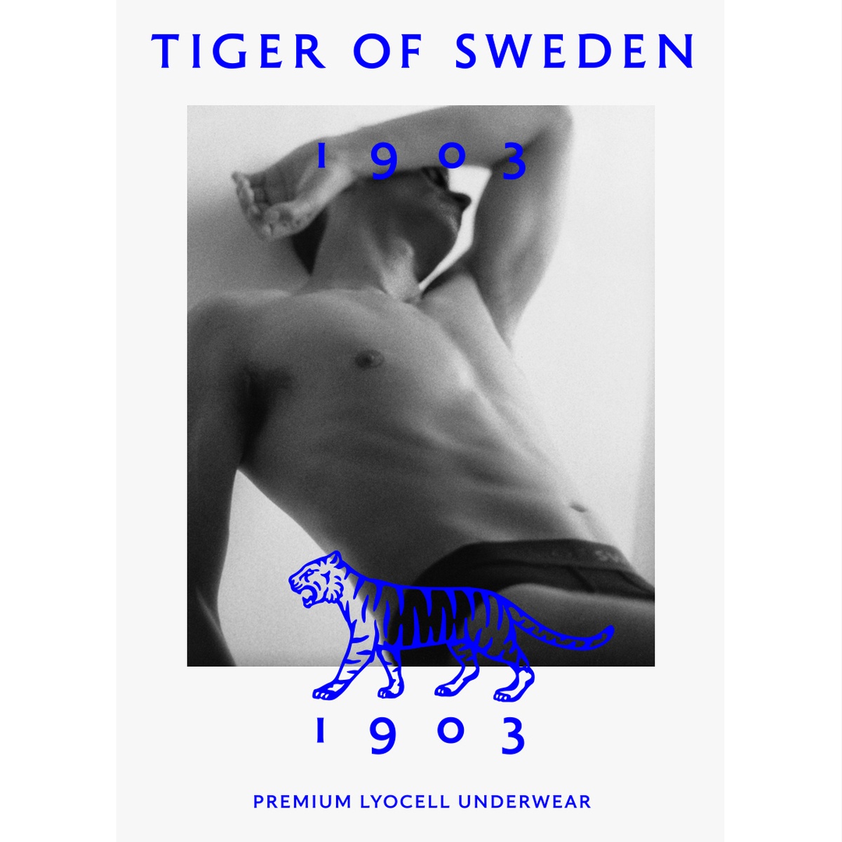 LUNDLUND : Tiger of Sweden Underwear
